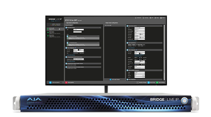 BRIDGE LIVE IP